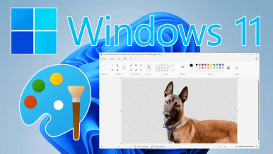 Jak usunąć tło obrazu za pomocą programu Microsoft Paint w systemie Windows 11. Usuń tło w programie Paint lub Paint 3D jednym kliknięciem.